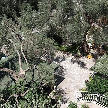 Kuca Radovic Hotel Petrovac Exterior foto